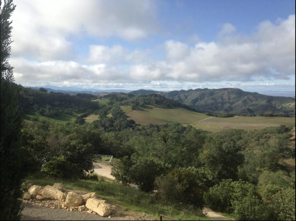 Lekai Ranch Forever Vineyard Views Adelaida Екстер'єр фото